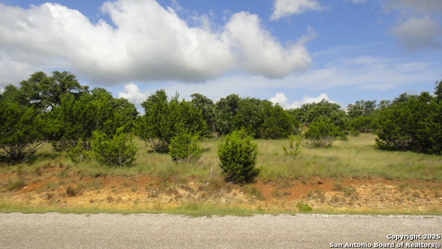 116 Peter Kleid Lp, Blanco, Texas image 6