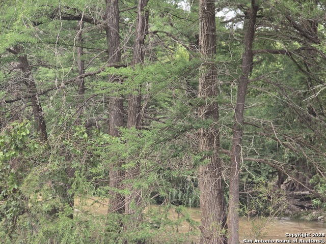 22 Cypress, Bandera, Texas image 19