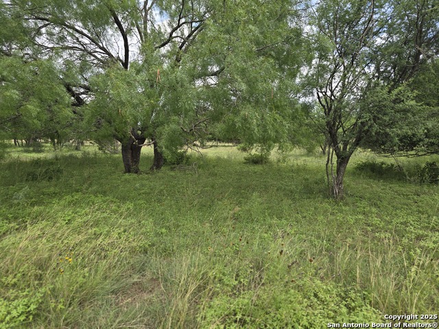 22 Cypress, Bandera, Texas image 4