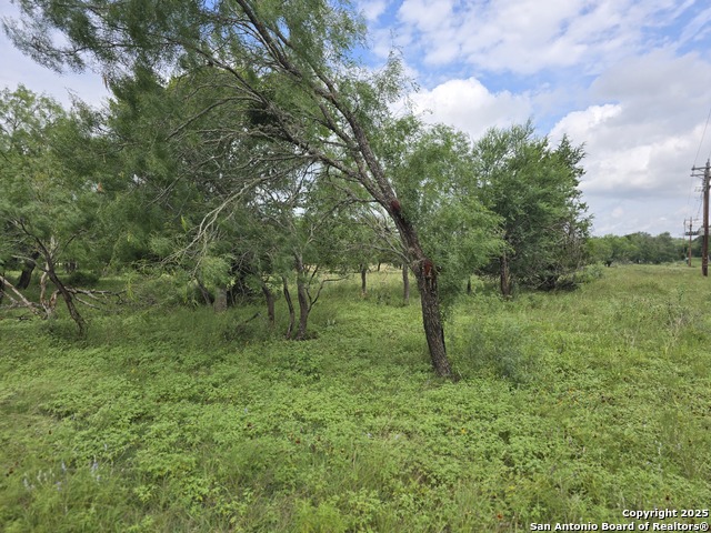 22 Cypress, Bandera, Texas image 5