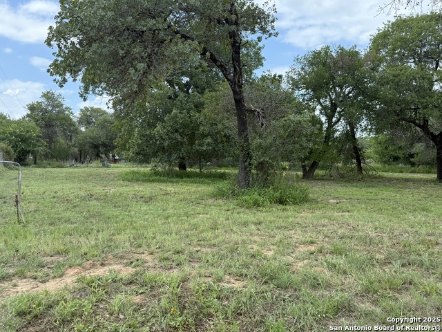 1917 Palo Alto, Von Ormy, Texas image 10