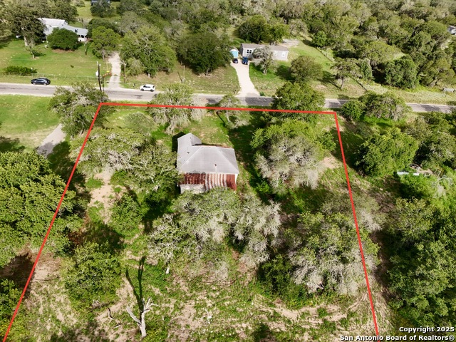 1917 Palo Alto, Von Ormy, Texas image 9