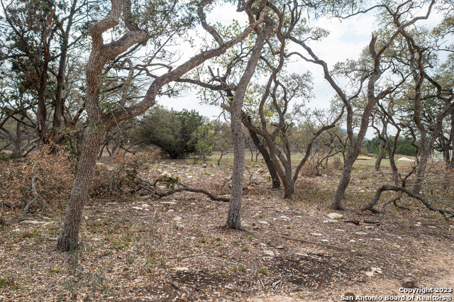 715 Blaze Ridge, Bulverde, Texas image 11