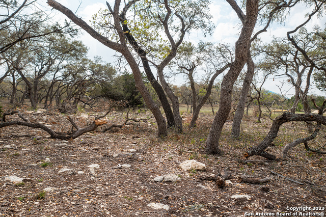 715 Blaze Ridge, Bulverde, Texas image 12