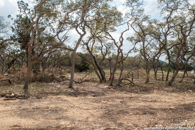 715 Blaze Ridge, Bulverde, Texas image 13