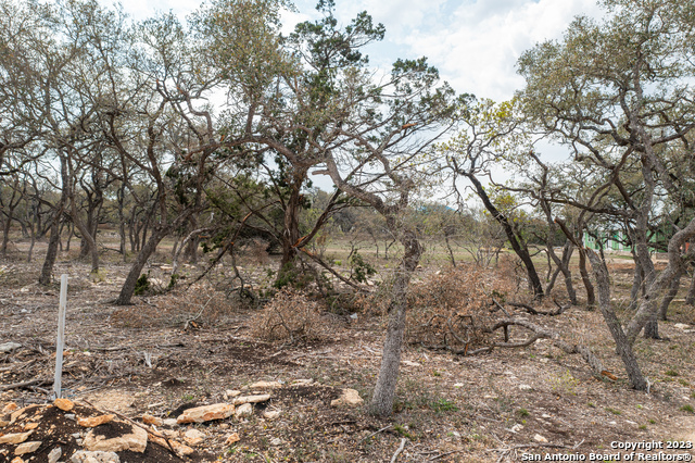 715 Blaze Ridge, Bulverde, Texas image 14