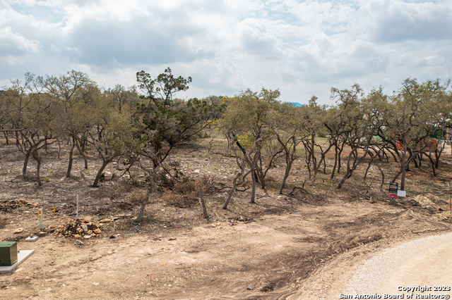 715 Blaze Ridge, Bulverde, Texas image 2