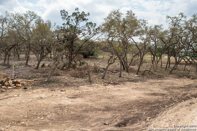715 Blaze Ridge, Bulverde, Texas image 3