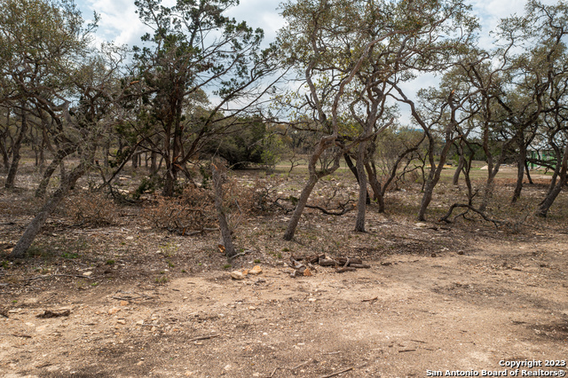 715 Blaze Ridge, Bulverde, Texas image 4