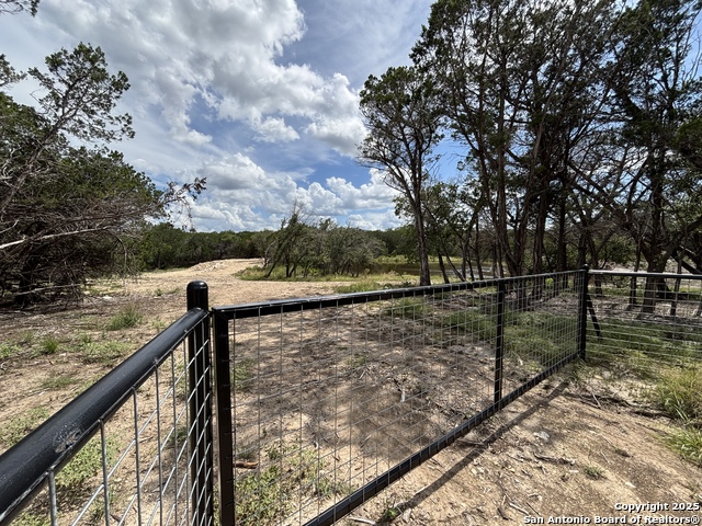 446 Waring Welfare, Boerne, Texas image 1