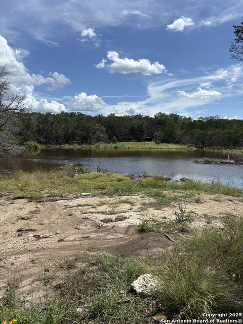 446 Waring Welfare, Boerne, Texas image 2