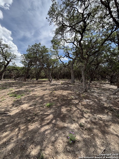 446 Waring Welfare, Boerne, Texas image 4