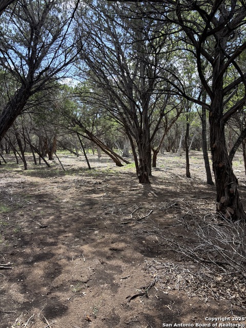 446 Waring Welfare, Boerne, Texas image 8