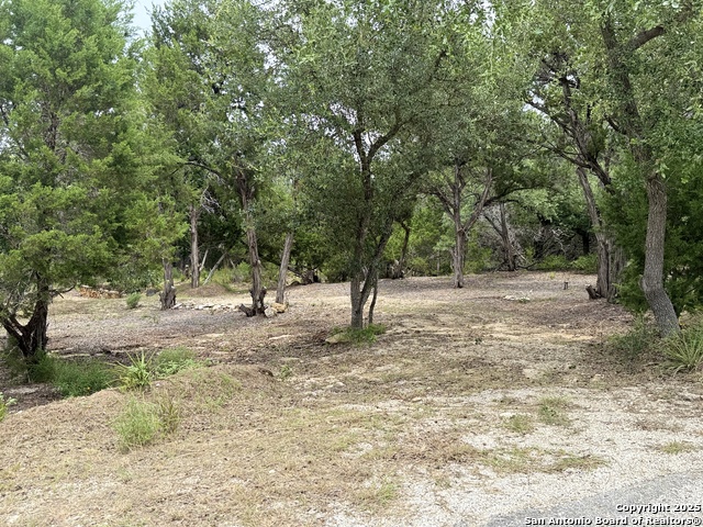 724 AND 732 Ledgeview, Canyon Lake, Texas image 1