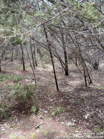 724 AND 732 Ledgeview, Canyon Lake, Texas image 10
