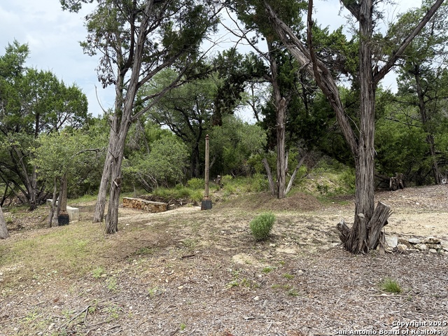 724 AND 732 Ledgeview, Canyon Lake, Texas image 12