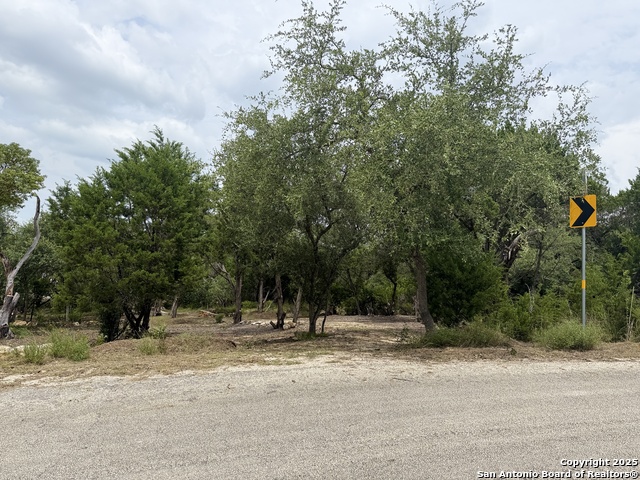 724 AND 732 Ledgeview, Canyon Lake, Texas image 13