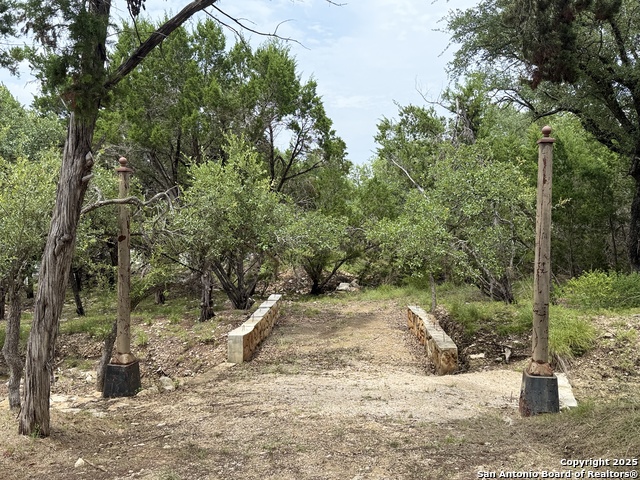 724 AND 732 Ledgeview, Canyon Lake, Texas image 2