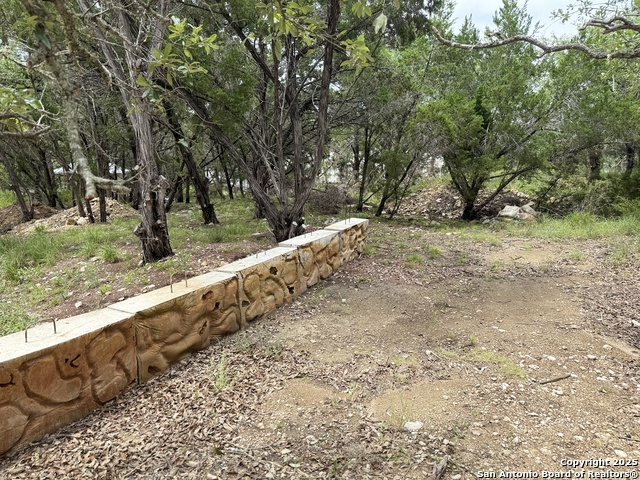 724 AND 732 Ledgeview, Canyon Lake, Texas image 3