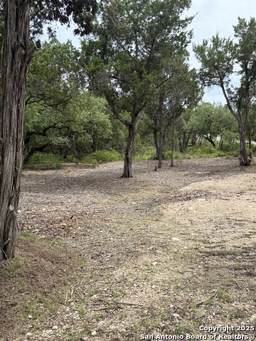 724 AND 732 Ledgeview, Canyon Lake, Texas image 4