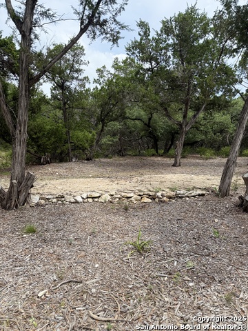 724 AND 732 Ledgeview, Canyon Lake, Texas image 6