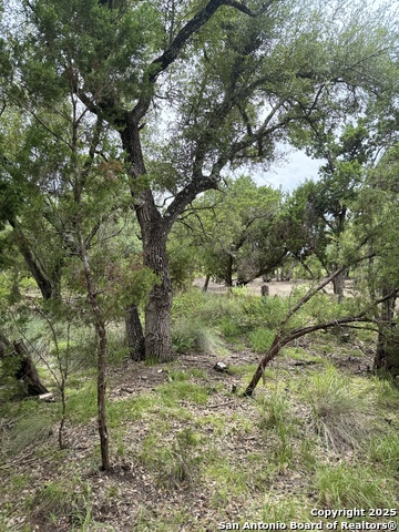 724 AND 732 Ledgeview, Canyon Lake, Texas image 7