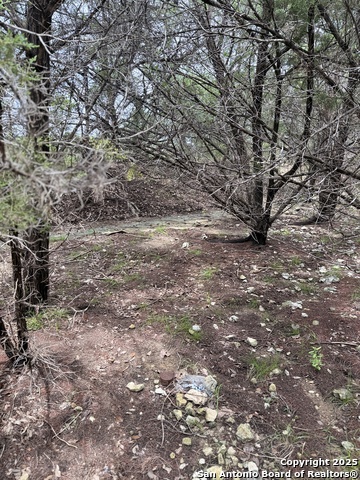 724 AND 732 Ledgeview, Canyon Lake, Texas image 9