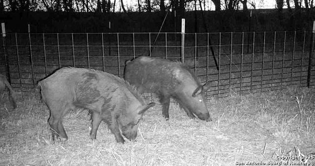 00 Cr 304, Jourdanton, Texas image 11