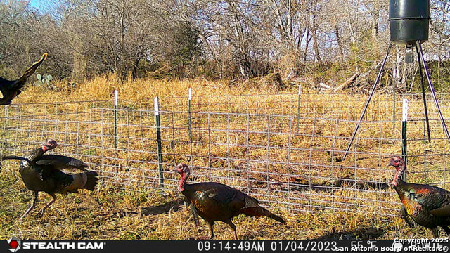 00 Cr 304, Jourdanton, Texas image 13