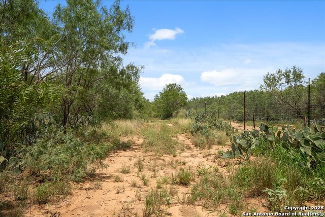 00 Cr 304, Jourdanton, Texas image 16