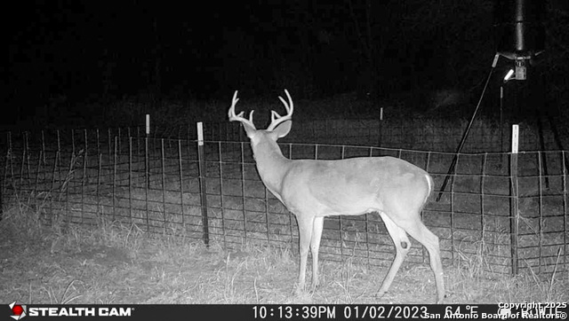 00 Cr 304, Jourdanton, Texas image 17
