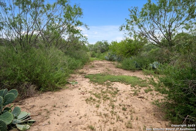 00 Cr 304, Jourdanton, Texas image 19