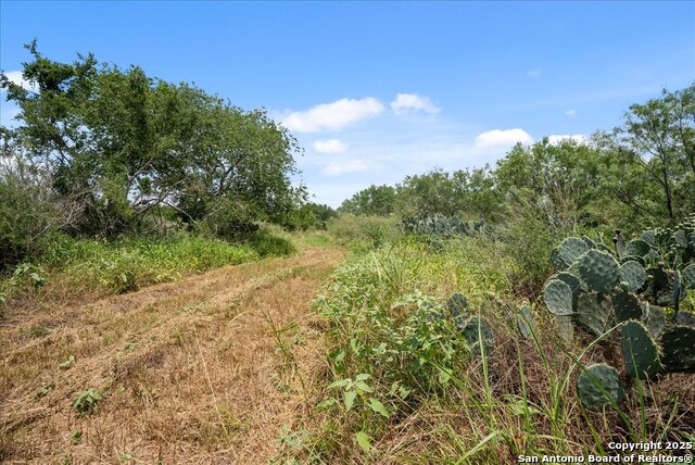 00 Cr 304, Jourdanton, Texas image 4