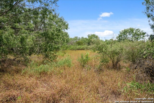 00 Cr 304, Jourdanton, Texas image 5