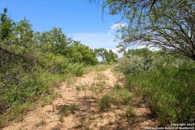 00 Cr 304, Jourdanton, Texas image 6