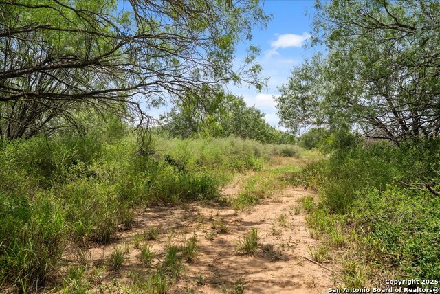 00 Cr 304, Jourdanton, Texas image 7