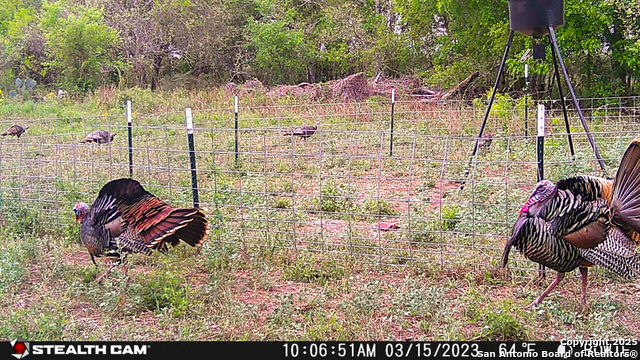 00 Cr 304, Jourdanton, Texas image 8