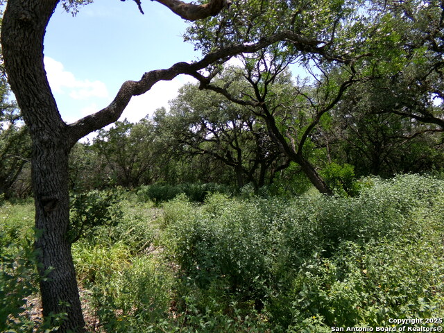 1881 Grand Oaks, Hondo, Texas image 10
