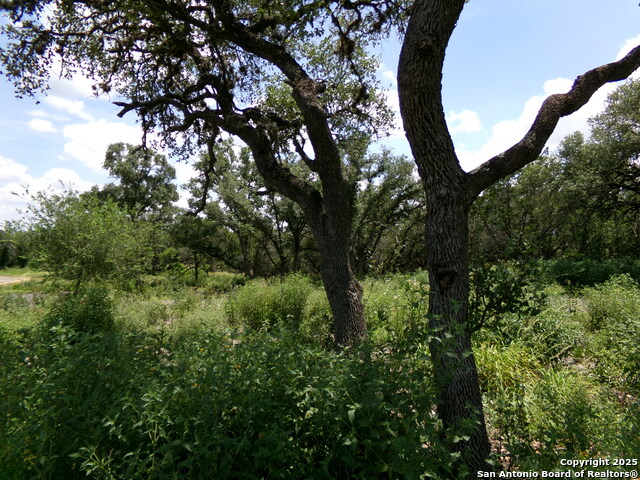 1881 Grand Oaks, Hondo, Texas image 11