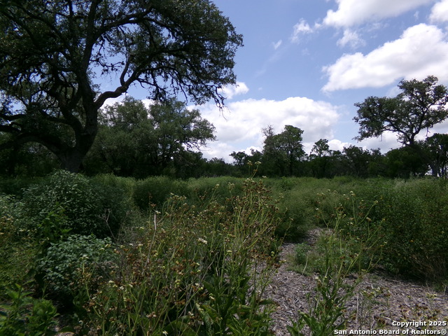 1881 Grand Oaks, Hondo, Texas image 2