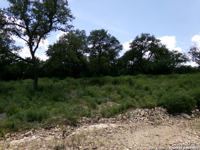1881 Grand Oaks, Hondo, Texas image 3