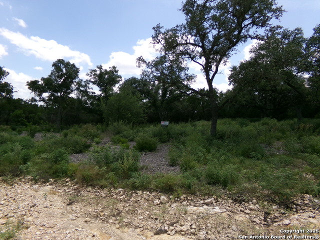 1881 Grand Oaks, Hondo, Texas image 4