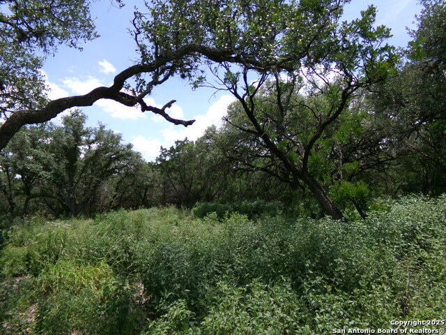 1881 Grand Oaks, Hondo, Texas image 8