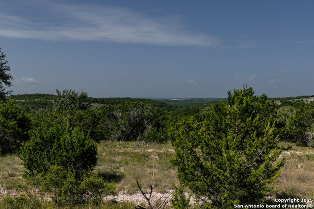 525 Rock Trail, Spring Branch, Texas image 10