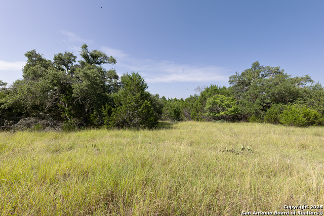525 Rock Trail, Spring Branch, Texas image 12
