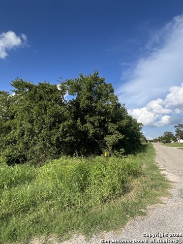 TBD N. Main St., Paige, Texas image 3