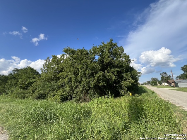 TBD N. Main St., Paige, Texas image 6
