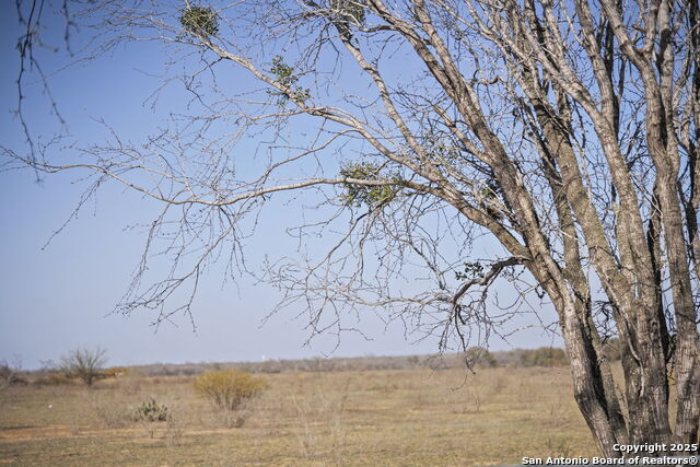TBD W Payne, Somerset, Texas image 16