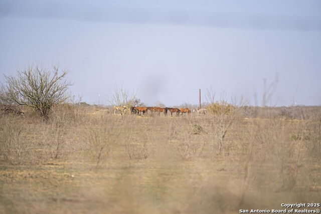 TBD W Payne, Somerset, Texas image 18