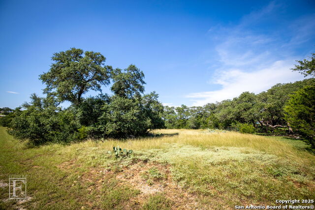 5716 Copper Forest, New Braunfels, Texas image 10